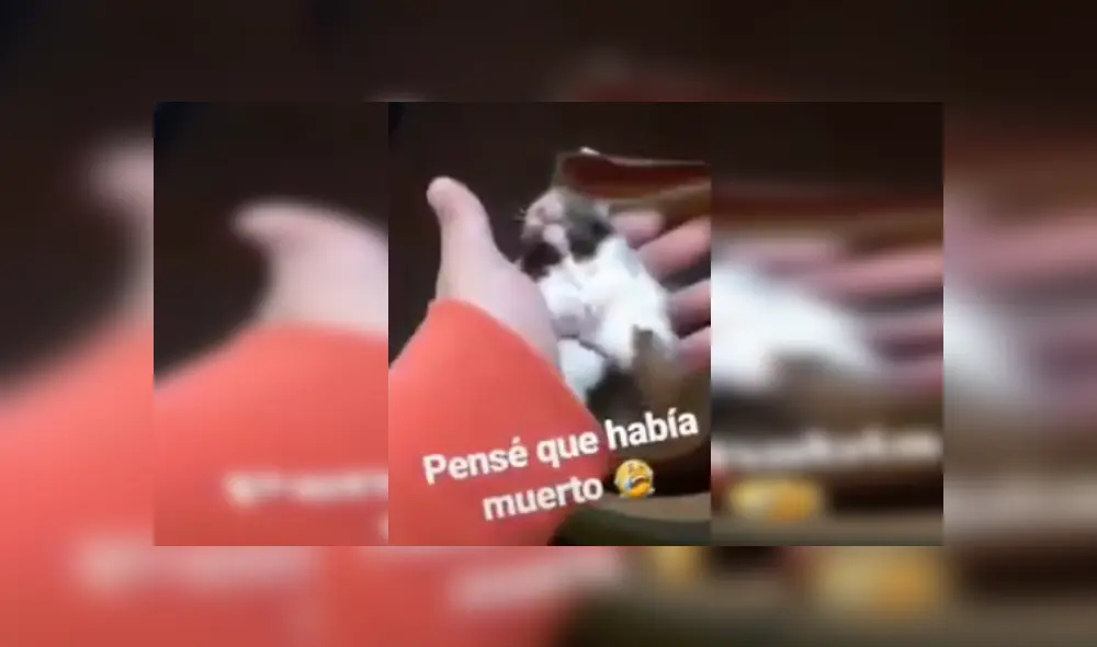 Desliza las imágenes para ver más sobre esta escena que impactó a miles en YouTube. (Foto: captura)