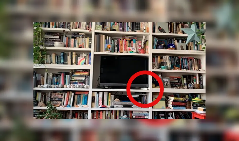 Desliza las imágenes hacia la izquierda para conocer la verdadera respuesta del nuevo reto de Facebook. Foto: Kate Hinds.