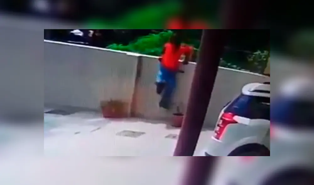 En YouTube, un delincuente aprovechó que una familia salió de su vivienda para ingresar y fue impedido por un perro. En YouTube, un delincuente aprovechó que una familia salió de su vivienda para ingresar y fue impedido por un perro.