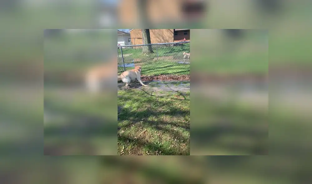 Desliza para ver los detalles del video viral publicado en YouTube. Foto: Captura. Desliza para ver los detalles del video viral publicado en YouTube. Foto: Captura.