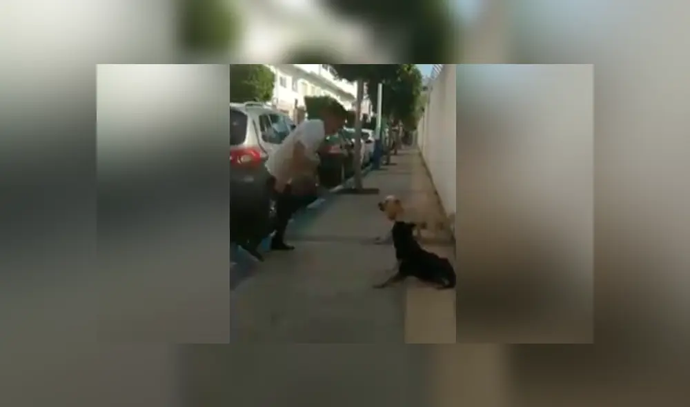 Desliza para ver los momentos más divertidos del video que se hizo viral en Facebook. Desliza para ver los momentos más divertidos del video que se hizo viral en Facebook.