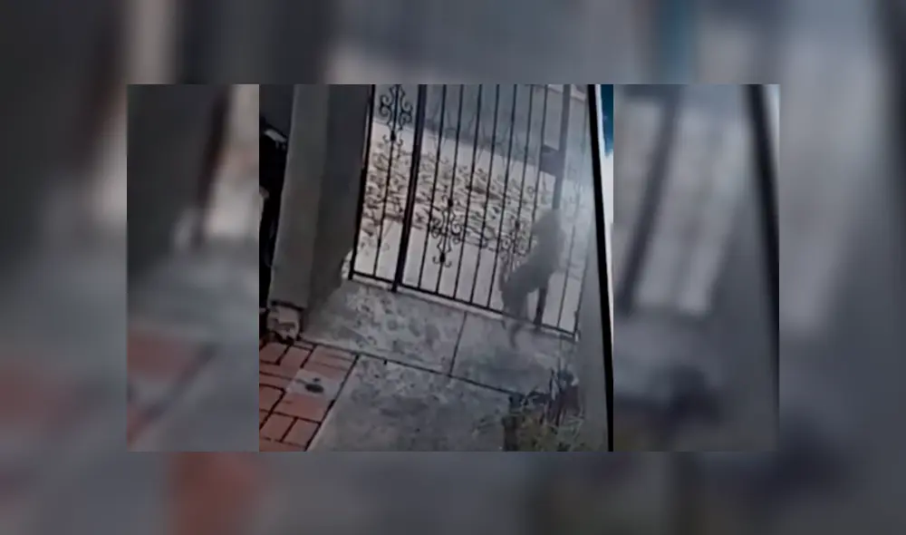 Desliza para ver el terrible final de este polémico video viral de YouTube. Foto: Captura. Desliza para ver el terrible final de este polémico video viral de YouTube. Foto: Captura.