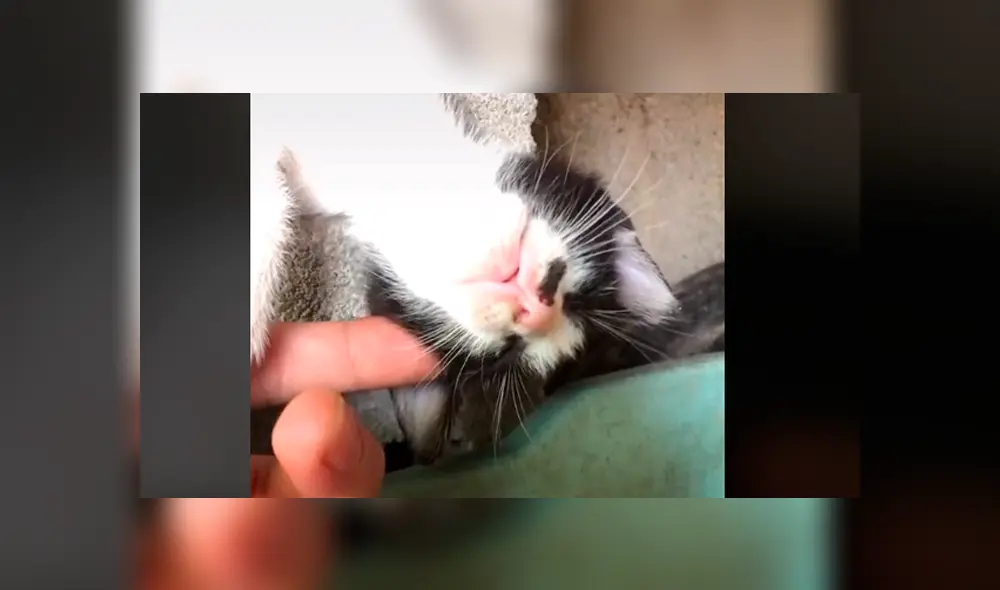 Desliza la imagen de YouTube para verlas todas. Desliza la imagen de YouTube para verlas todas.