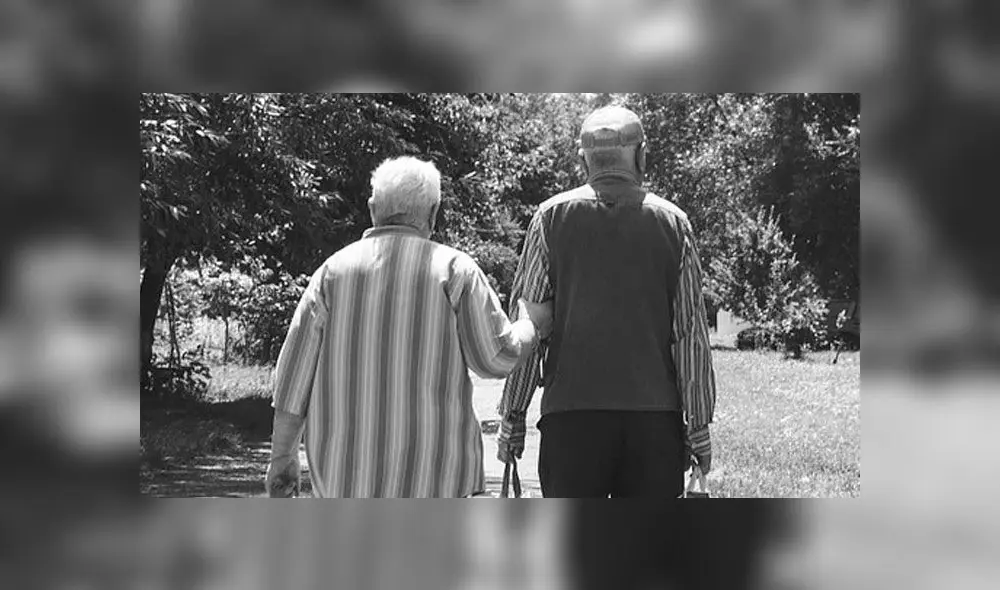 Dentro del auto, también se encontraba el perro de los ancianos. Dentro del auto, también se encontraba el perro de los ancianos.