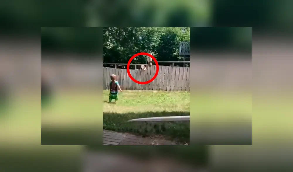 Desliza las imágenes hacia la izquierda para apreciar el amoroso momento que protagonizó un niño junto a un perro. Desliza las imágenes hacia la izquierda para apreciar el amoroso momento que protagonizó un niño junto a un perro.