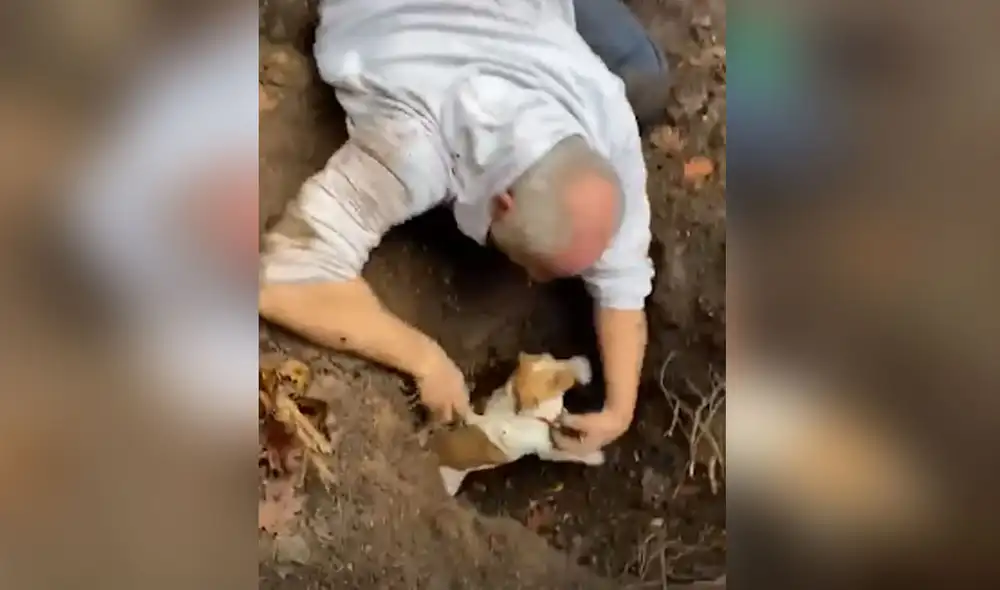 El hombre halló a su perrita tras varios días de intensa búsqueda. Foto: Facebook