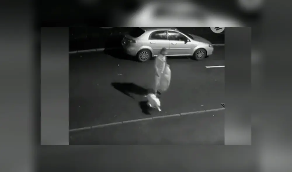 Desliza hacia la izquierda para ver el trágico momento en que un joven abandona a su mascota y se viraliza en YouTube.