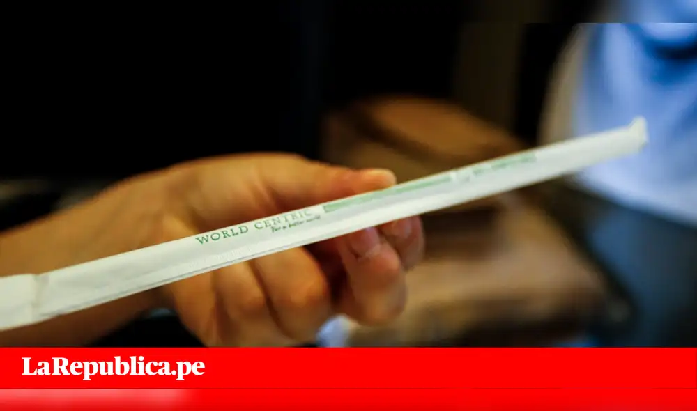 Día del Medio Ambiente: Magdalena prohíbe uso de “cañitas” en locales del distrito