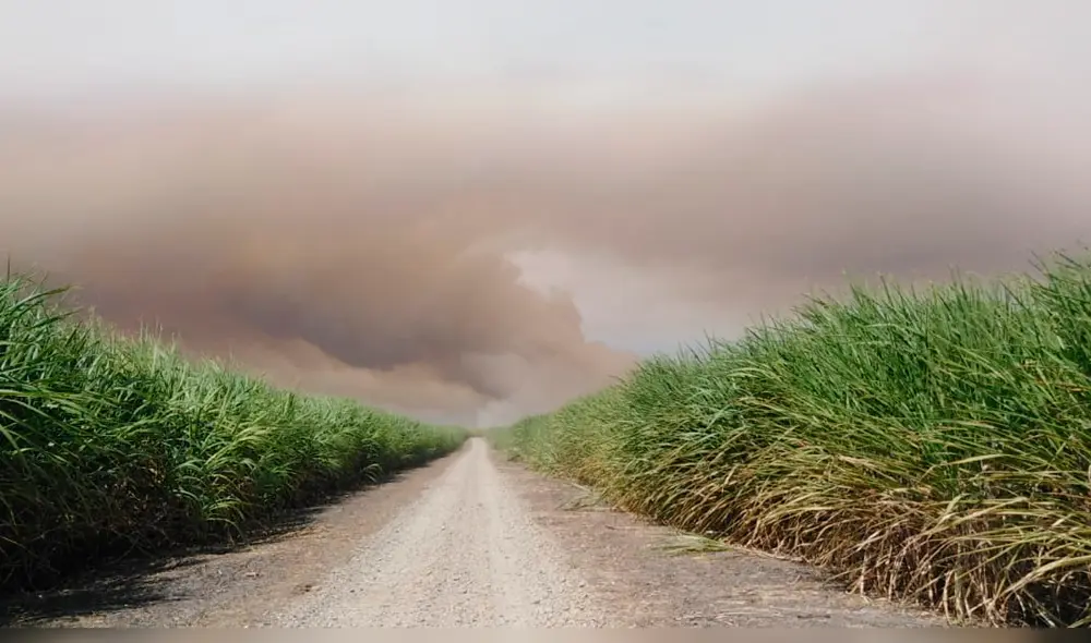 Humo cubrió gran parte del cielo de dos provincias de Piura.