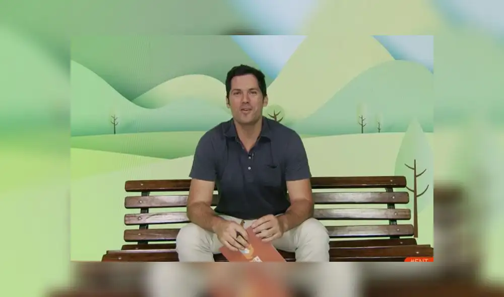 Todo sobre los gatos - Entre patas