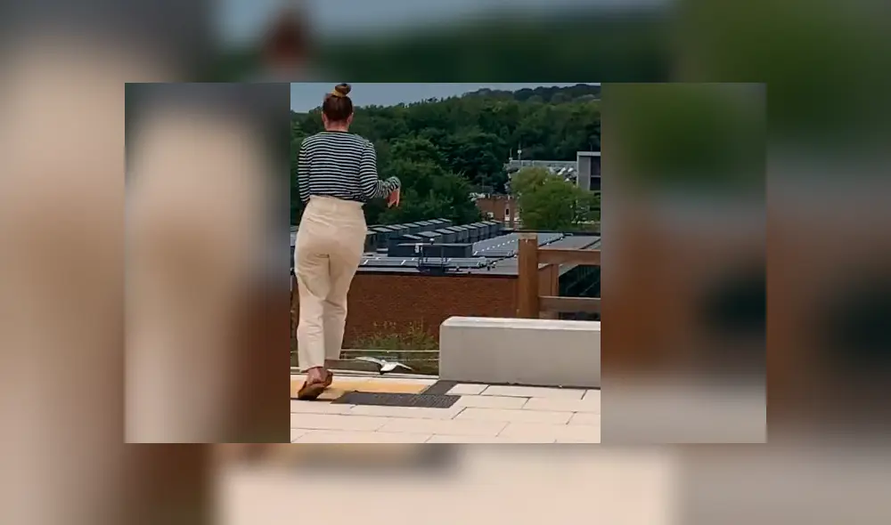 Desliza la imagen para ver la graciosa secuencia. Foto: Chaiseandstatus/TikTok Desliza la imagen para ver la graciosa secuencia. Foto: Chaiseandstatus/TikTok