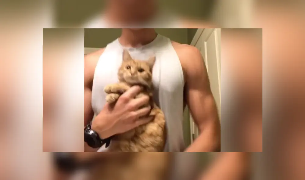 Desliza a la izquierda para conocer más sobre este nuevo video viral de TikTok. Foto: Captura.