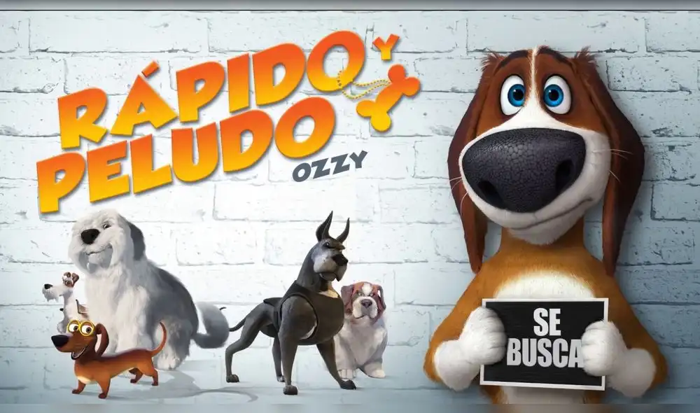 Rápido ypeludo Rápido ypeludo