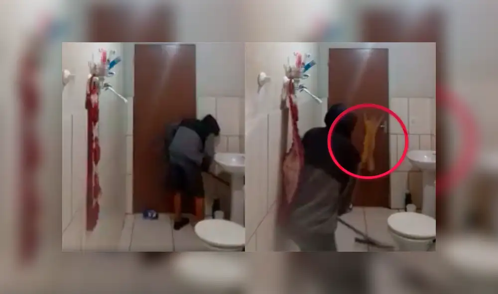 En YouTube, gato y su dueño buscan a una rata y el resultado es viral [VIDEO]