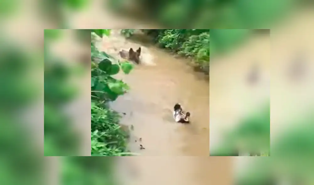 Desliza para ver el video viral de YouTube. Foto: Captura.