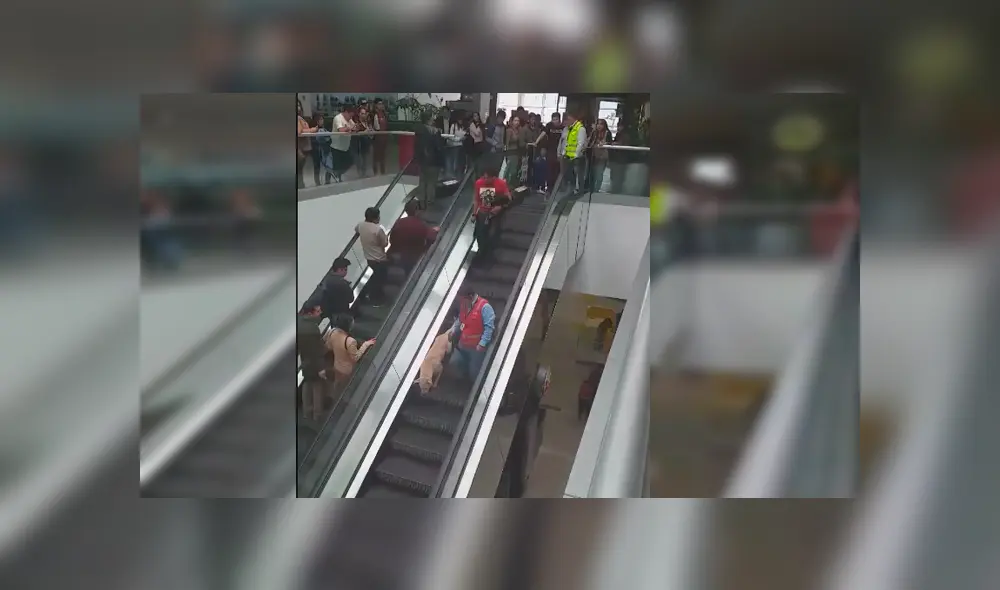 Peruano grabó el curioso momento en el que personal de seguridad de Real Plaza ayuda a un temeroso perro a bajar del segundo piso Peruano grabó el curioso momento en el que personal de seguridad de Real Plaza ayuda a un temeroso perro a bajar del segundo piso