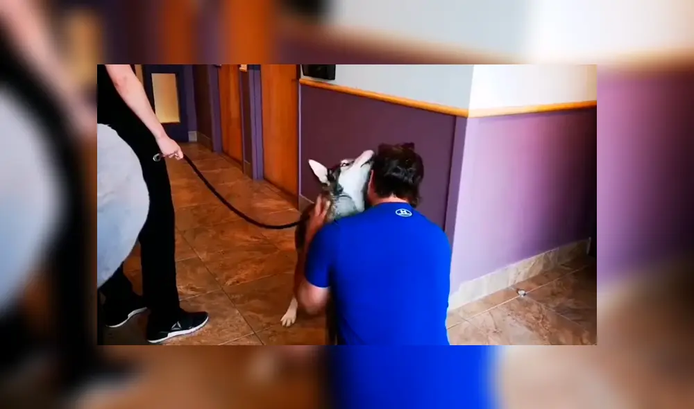 En Facebook, un joven realizó una intensa búsqueda para dar con el paradero de su perro y años después lo encontró en un albergue. En Facebook, un joven realizó una intensa búsqueda para dar con el paradero de su perro y años después lo encontró en un albergue.