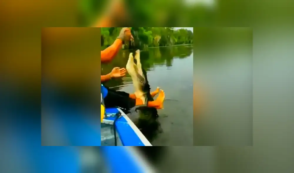 Desliza hacia la izquierda para ver la reacción que tuvo un cocodrilo al recibir sus alimentos, hecho que se viralizó en Facebook.