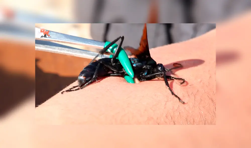 Desliza para ver los momento más importantes del impactante video que se hizo viral en YouTube.