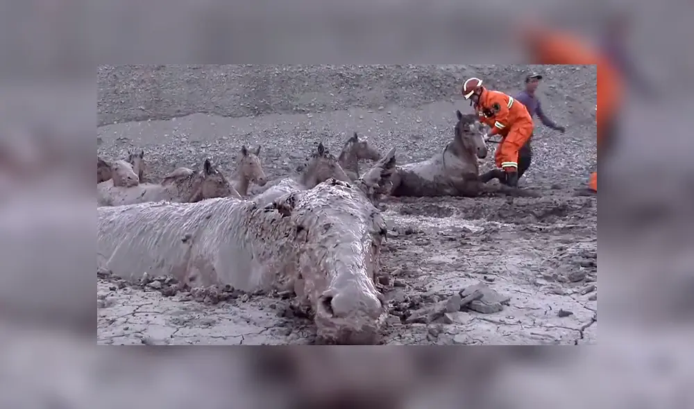 Desliza la imagen publicada en YouTube para verlas todas. Foto: captura