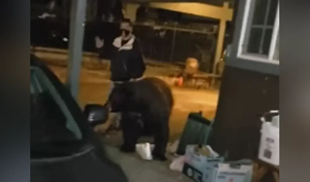 Desliza hacia la izquierda para ver las imágenes del video viral. Foto: captura de YouTube. Desliza hacia la izquierda para ver las imágenes del video viral. Foto: captura de YouTube.