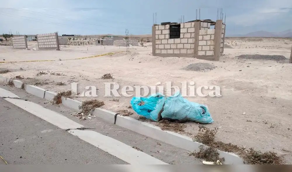  Hallan dos cadáveres en saquillos a un costado de vía Arequipa – La Joya