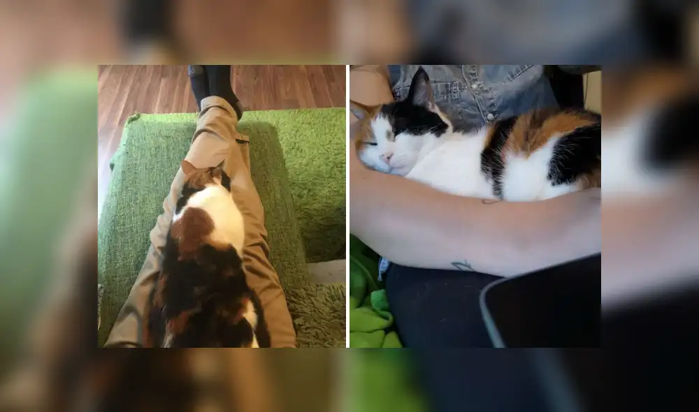 Desliza hacia la izquierda para ver más imágenes de esta escena que se hizo viral en Facebook. Desliza hacia la izquierda para ver más imágenes de esta escena que se hizo viral en Facebook.