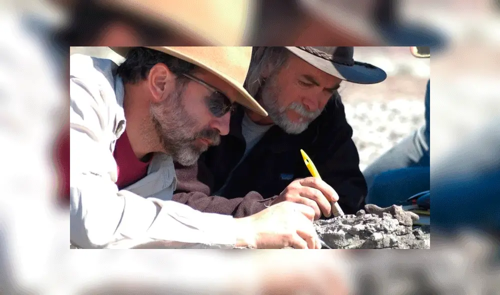 Científicos descubren especie similar a la ardilla de "La era de hielo". Foto: Télam