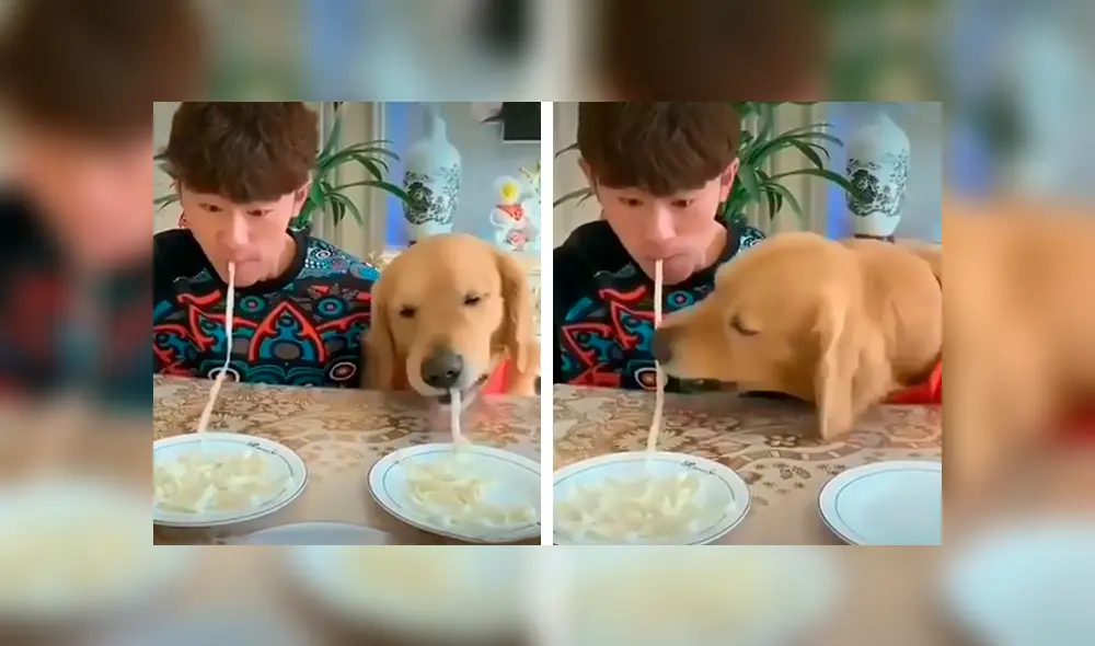 Desliza las imágenes para apreciar la competencia entre un joven y su perro al comer más rápido unos fideos. Foto: Captura. Desliza las imágenes para apreciar la competencia entre un joven y su perro al comer más rápido unos fideos. Foto: Captura.