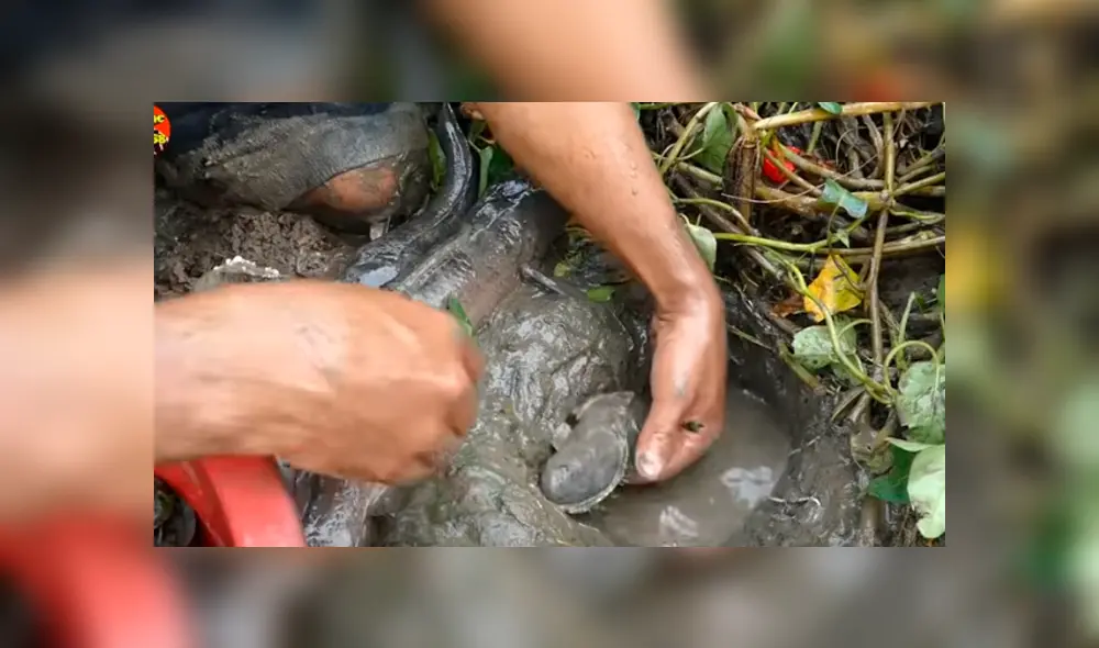 Desliza hacia la izquierda para ver el experimento con Coca Cola que se ha vuelto viral en YouTube. Desliza hacia la izquierda para ver el experimento con Coca Cola que se ha vuelto viral en YouTube.