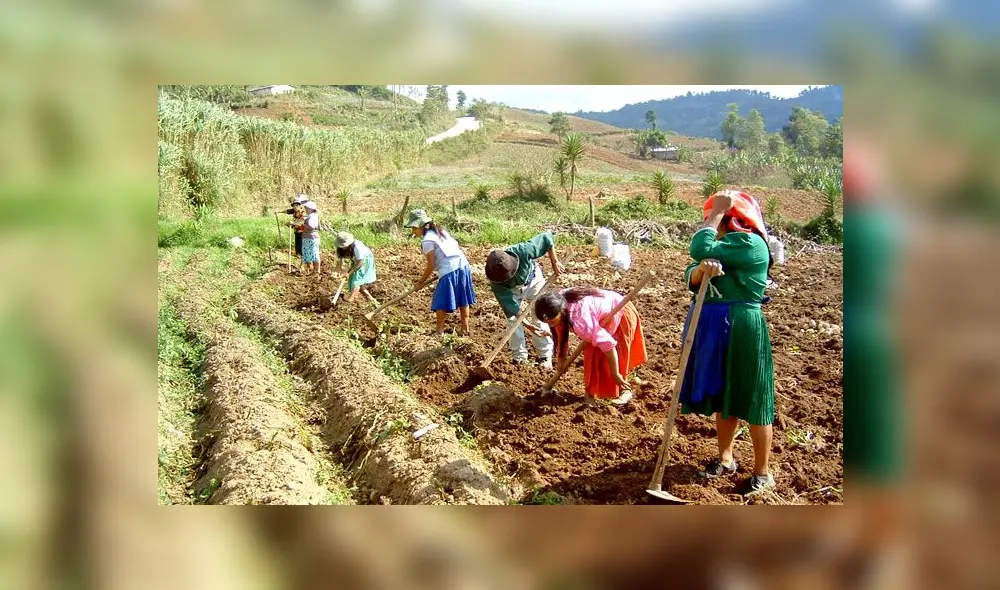 Agricultores Agricultores