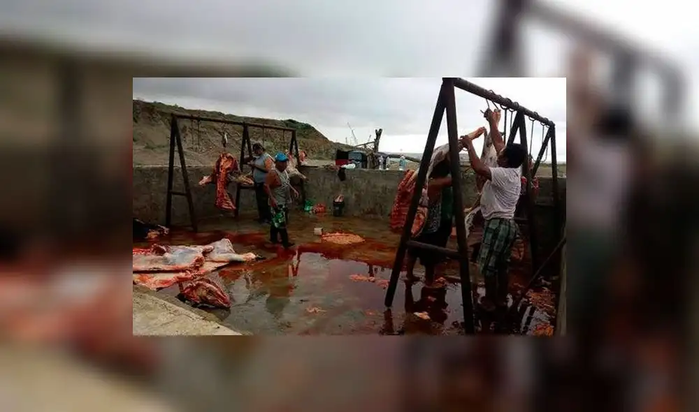 Piura: Advierten que salud de población talareña está en riesgo