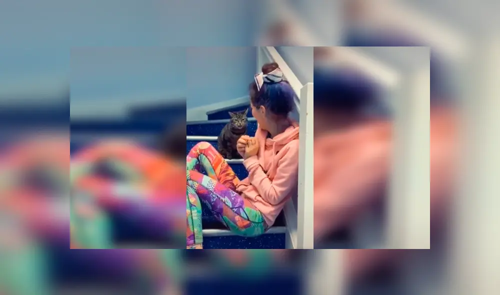 Desliza las imágenes para conocer el comportamiento de un gato para impedir que su dueña siga cantando.