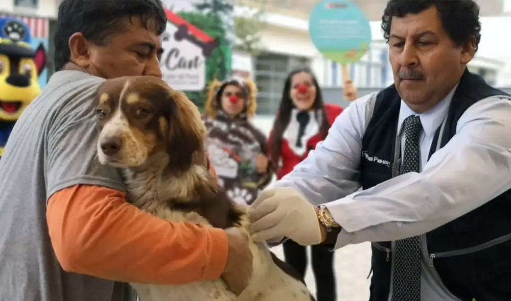 Foto: Difusión /Andina