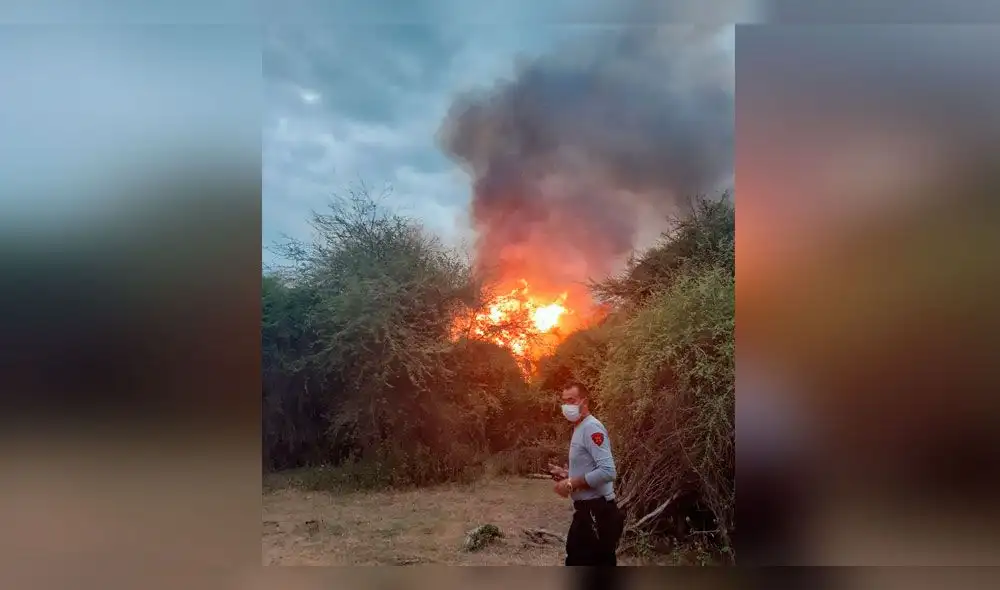 Incendio forestal en el sector Jotoro en el distrito de Jayanca. Incendio forestal en el sector Jotoro en el distrito de Jayanca.