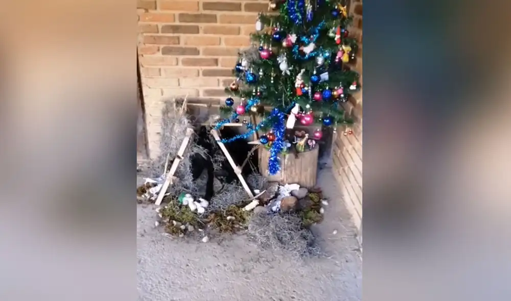 Desliza hacia la izquierda para ver más imágenes sobre esta curiosa escena. Foto: captura de TikTok