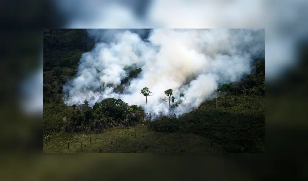 Amazonas en riesgo: satélites captan la magnitud del incendio en los bosques brasileños [FOTOS]
