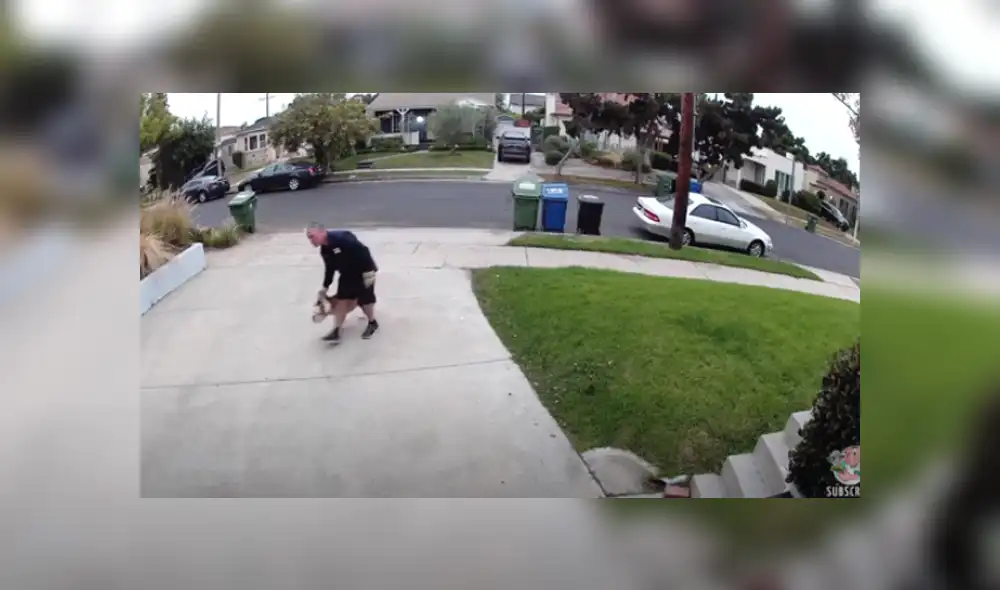 Desliza hacia la izquierda para ver las imágenes del viral de YouTube. Foto: ViralHog.