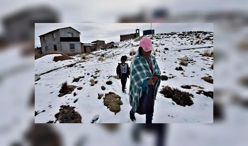 Organizan campaña en Arequipa para ayudar a 450 afectados por las heladas