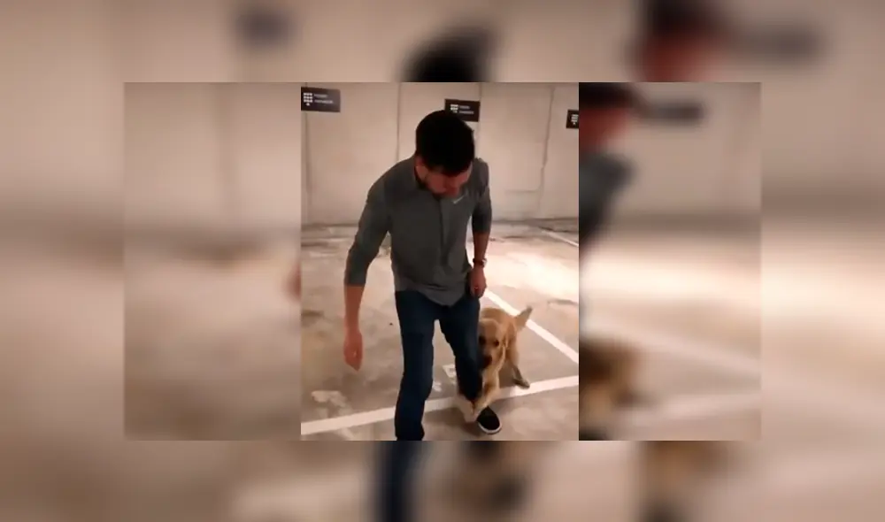 En Facebook, un perro deseaba jugar con su dueño y lo sujetó de la pierna para que no se vaya a trabajar. En Facebook, un perro deseaba jugar con su dueño y lo sujetó de la pierna para que no se vaya a trabajar.