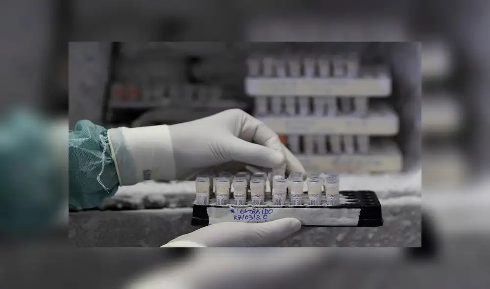 Varios países intentan conseguir una cura al coronavirus. Foto: EFE Varios países intentan conseguir una cura al coronavirus. Foto: EFE