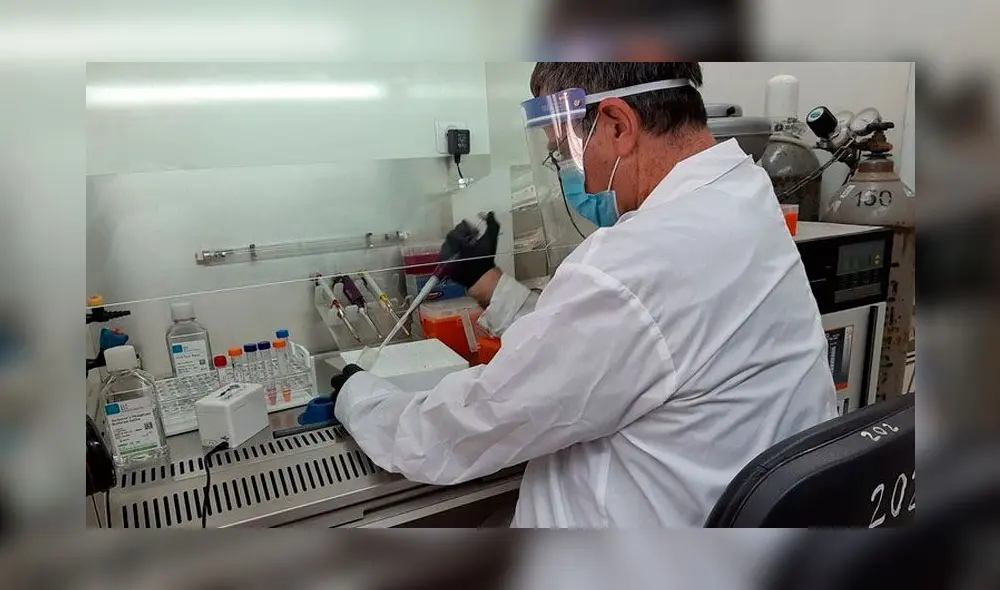 El coronavirus ya ha matado a más de 800. 000 mil personas en el mundo. Foto: Difusión.