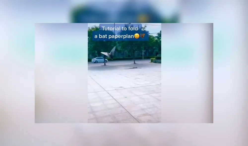 Desliza las imágenes para conocer un poco sobre este increíble viral que es toda una sensación en redes sociales. Foto: Amee Lisa/TikTok Desliza las imágenes para conocer un poco sobre este increíble viral que es toda una sensación en redes sociales. Foto: Amee Lisa/TikTok