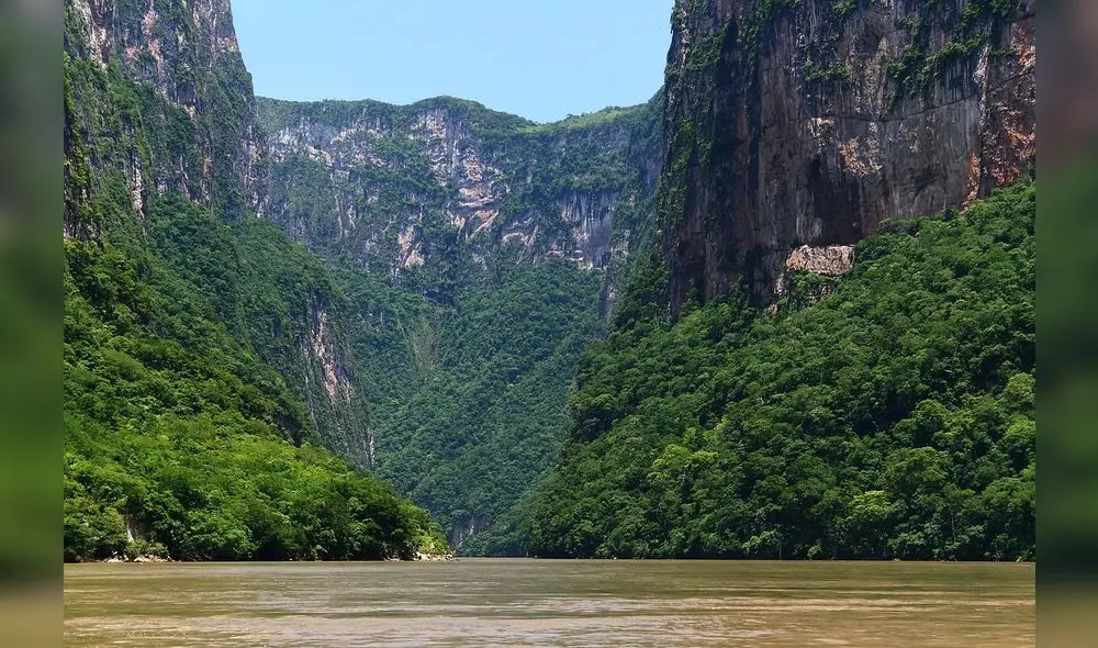 La Comisión Nacional de Áreas Naturales Protegidas aseguró que el material audiovisual transgrede la legalidad, la moral y las buenas costumbres. Foto: Captura de Reporte Índigo