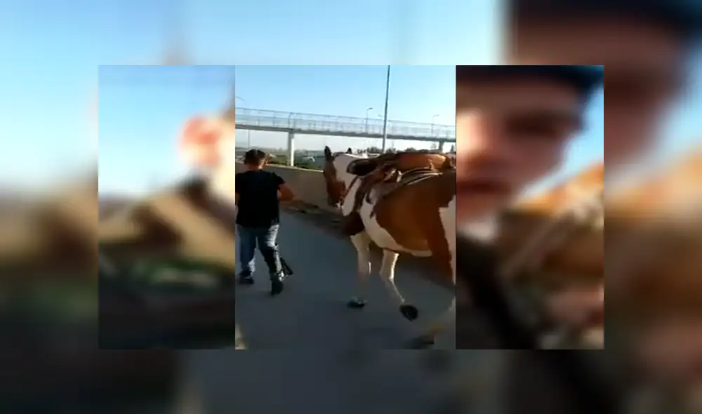 Facebook viral: niño llora de la emoción cuando policía le devuelve su caballo perdido [VIDEO]