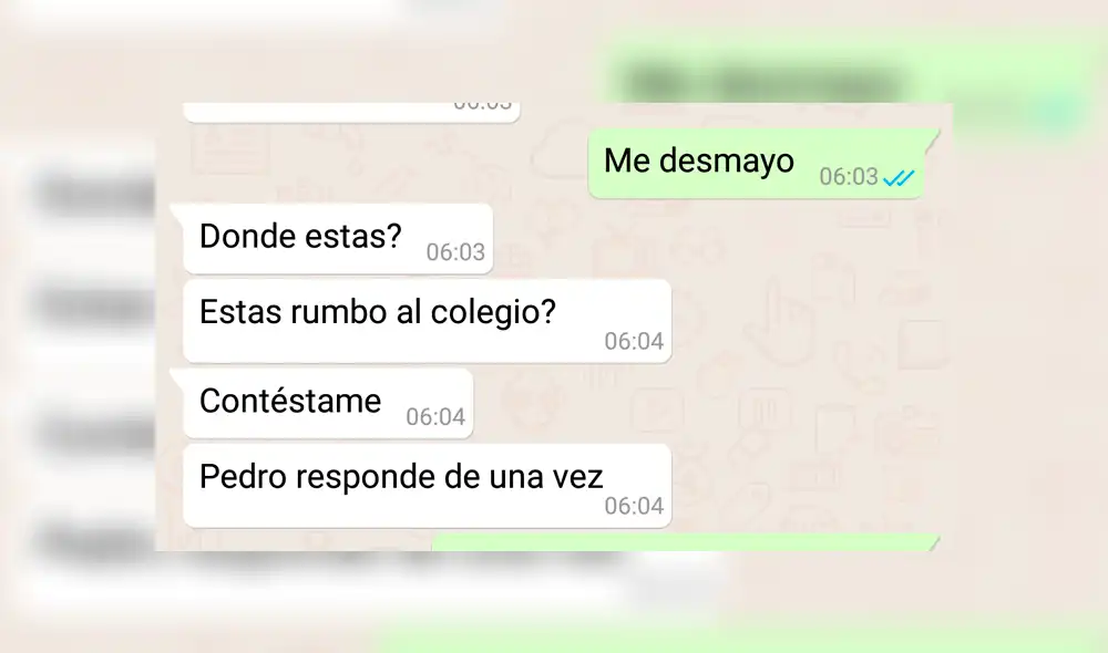 WhatsApp: La sorprendente reacción de un padre ante el "Cállese viejo lesbiano" de su hijo [FOTOS]