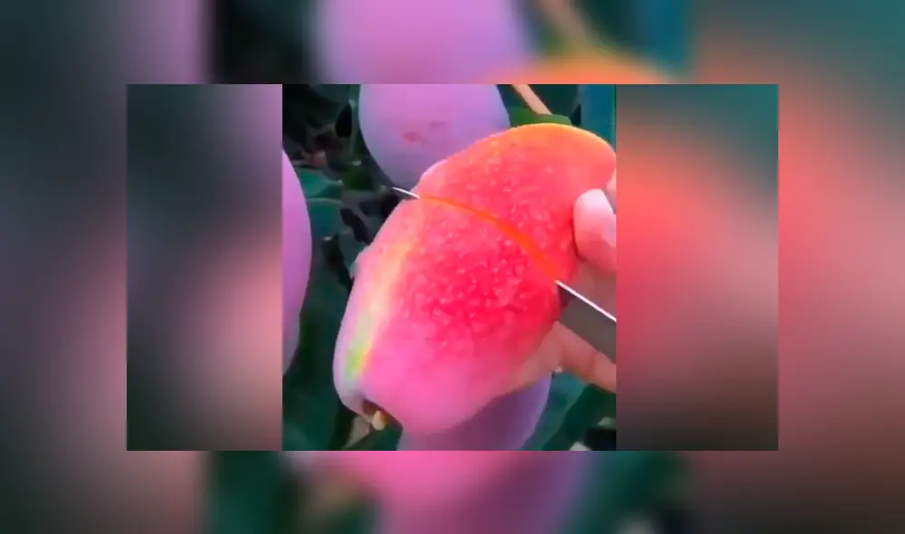 Desliza para ver los momentos más impactantes del video que se hizo viral en YouTube. Desliza para ver los momentos más impactantes del video que se hizo viral en YouTube.