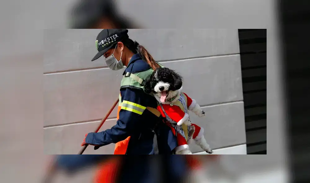 Barrendera y su perro se vuelven viral en redes sociales. Foto: Reuters Barrendera y su perro se vuelven viral en redes sociales. Foto: Reuters