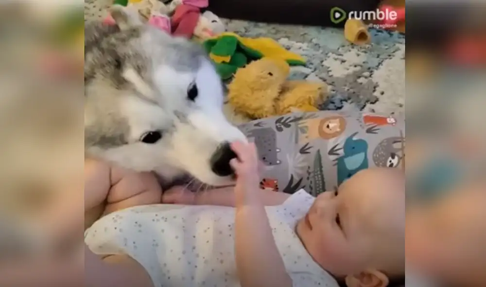 Desliza hacia la izquierda para ver las imágenes del video viral. Foto: Captura de Facebook