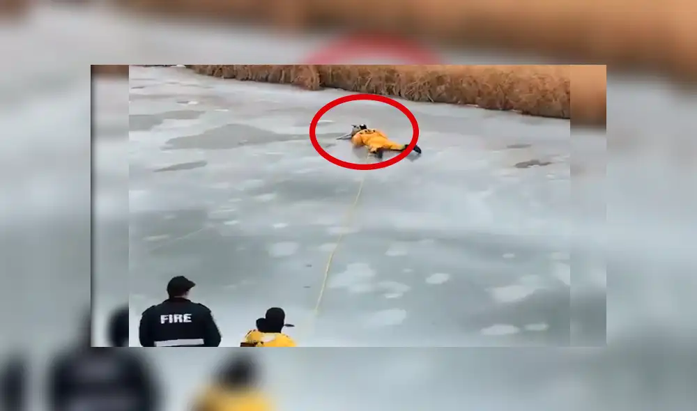 Facebook: el angustiante rescate de un perro atrapado en el hielo [VIDEO]